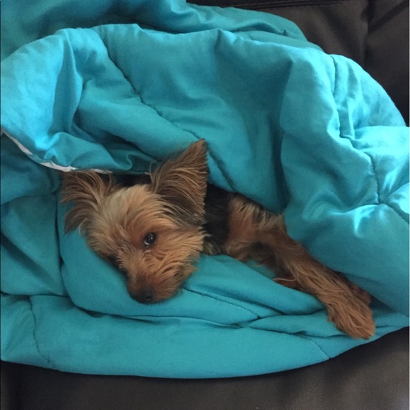 Meet your Posher, Isabelle - Picture 1 of 1